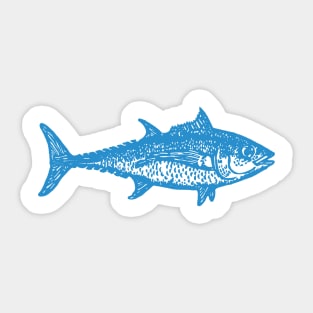 Bluefin Tuna Sticker